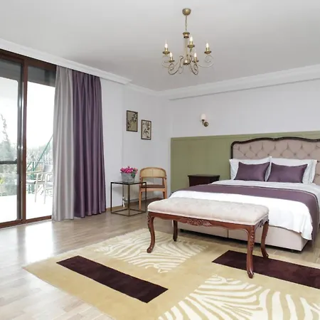 Hotel Guel Hanim Konagi Butik 5*